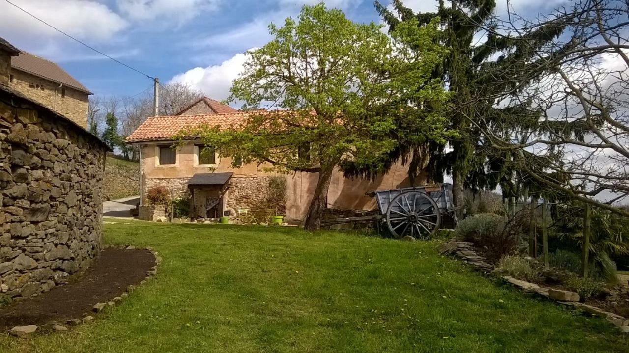 La Caze Gites Broquies Exteriör bild