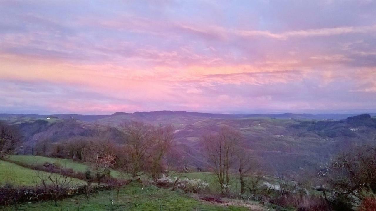 La Caze Gites Broquies Exteriör bild